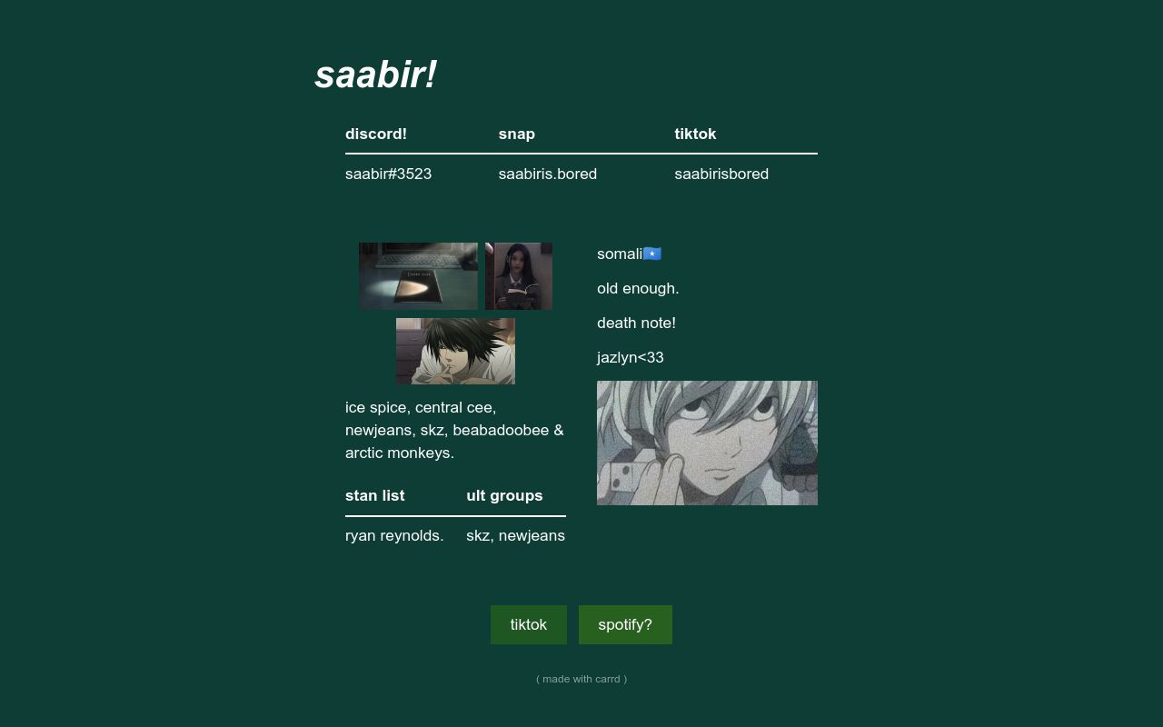 Carrd profile picture for @saabir